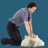 IMCA Diver Medic Technician Refresher (DMT-R) Course (Jaipur, India) - Image 6